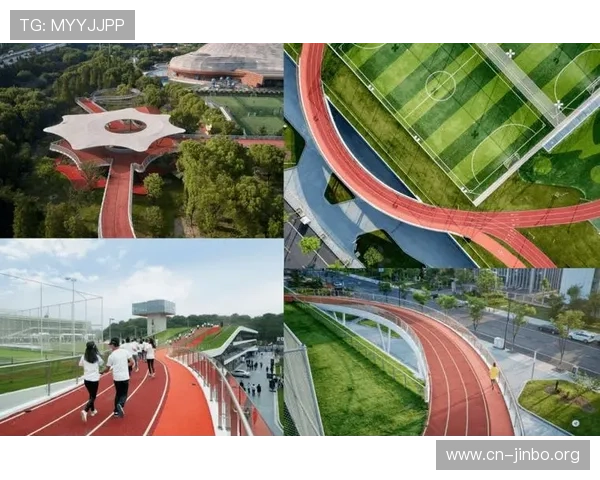 实发体育全面发展战略及青少年运动参与提升方案研究